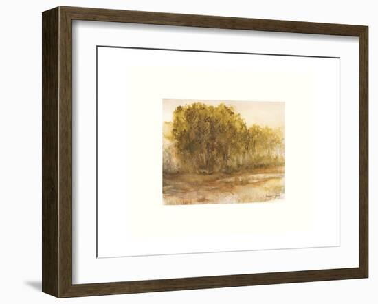 Three Lakes Cottonwoods-Sammy Sheler-Framed Photographic Print