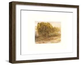 Three Lakes Cottonwoods-Sammy Sheler-Framed Photographic Print