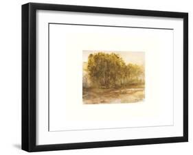 Three Lakes Cottonwoods-Sammy Sheler-Framed Photographic Print