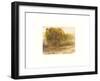 Three Lakes Cottonwoods-Sammy Sheler-Framed Photographic Print