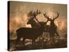 Three Large Deer Stags Bonding in the Early Morning Mists of Richmond Park-Alex Saberi-Stretched Canvas