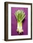 Three Leeks on Purple Fabric-Foodcollection-Framed Photographic Print