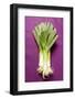 Three Leeks on Purple Fabric-Foodcollection-Framed Photographic Print