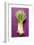 Three Leeks on Purple Fabric-Foodcollection-Framed Photographic Print