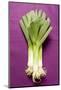 Three Leeks on Purple Fabric-Foodcollection-Mounted Photographic Print