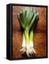 Three Leeks on Wooden Background-null-Framed Stretched Canvas