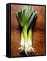 Three Leeks on Wooden Background-null-Framed Stretched Canvas