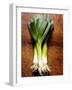 Three Leeks on Wooden Background-null-Framed Photographic Print