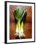 Three Leeks on Wooden Background-null-Framed Photographic Print