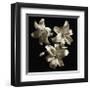Three Lilies-Michael Harrison-Framed Giclee Print