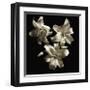 Three Lilies-Michael Harrison-Framed Giclee Print