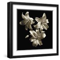 Three Lilies-Michael Harrison-Framed Giclee Print