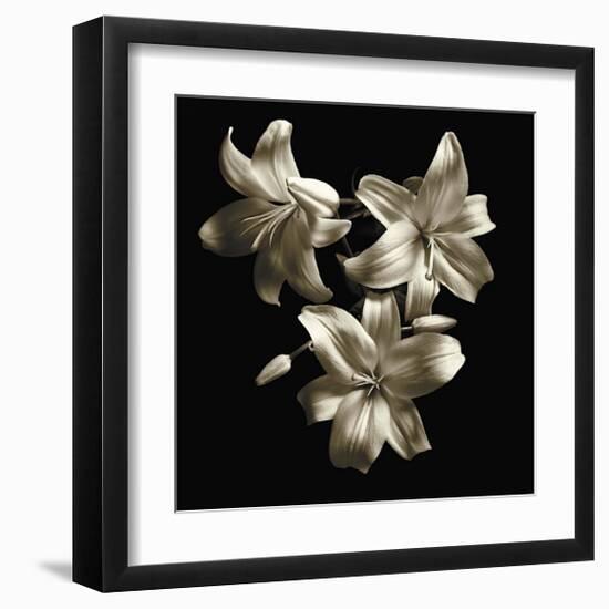 Three Lilies-Michael Harrison-Framed Giclee Print