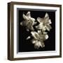 Three Lilies-Michael Harrison-Framed Giclee Print