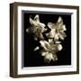 Three Lilies-Michael Harrison-Framed Art Print