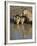 Three Lion Cubs Drinking, Masai Mara National Reserve, Kenya, East Africa, Africa-James Hager-Framed Photographic Print