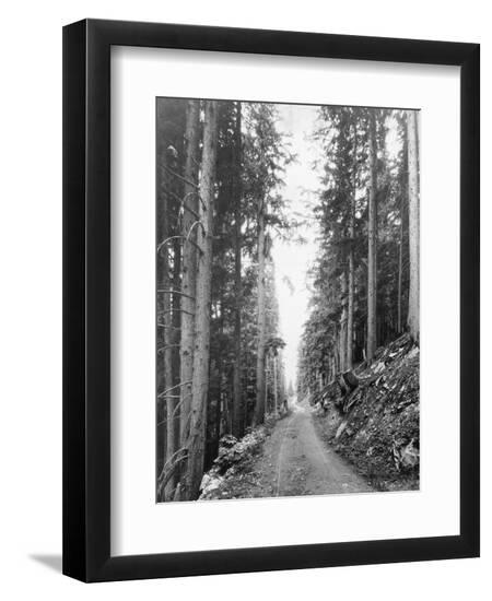 Premium Photographic Print, , large