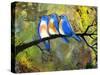 Three Little Bluebirds-Blenda Tyvoll-Stretched Canvas