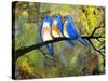 Three Little Bluebirds-Blenda Tyvoll-Stretched Canvas