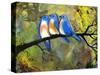 Three Little Bluebirds-Blenda Tyvoll-Stretched Canvas