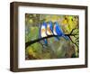 Three Little Bluebirds-Blenda Tyvoll-Framed Giclee Print