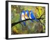 Three Little Bluebirds-Blenda Tyvoll-Framed Giclee Print