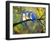 Three Little Bluebirds-Blenda Tyvoll-Framed Giclee Print
