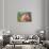 Three Little Pigs-Zelda Fitzgerald-Art Print displayed on a wall