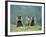 Three Marmots-null-Framed Photo