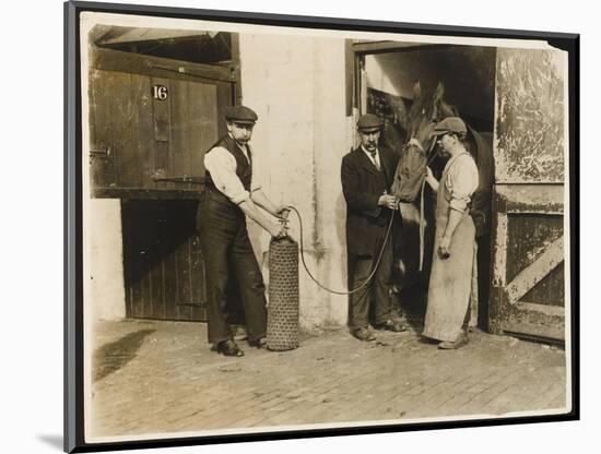 Three Men Use Oxygen to Treat a Horse at an the Great Northern Railway Infirmary for Horses-null-Mounted Photographic Print