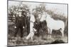 Three Men with Dalmatian and Pony-null-Mounted Photographic Print