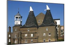 Three Mills, Lea Valley, London-Peter Thompson-Mounted Photographic Print