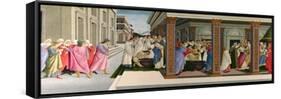 Three Miracles of Saint Zenobius, C. 1500-Sandro Botticelli-Framed Stretched Canvas