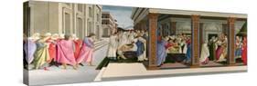 Three Miracles of Saint Zenobius, C. 1500-Sandro Botticelli-Stretched Canvas