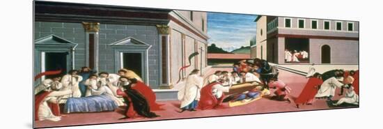 Three Miracles of St Zenobius, 1500-1505-Sandro Botticelli-Mounted Giclee Print