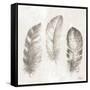 Three Modern Feathers I-Patricia Pinto-Framed Stretched Canvas