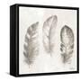 Three Modern Feathers I-Patricia Pinto-Framed Stretched Canvas