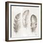 Three Modern Feathers I-Patricia Pinto-Framed Art Print