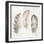 Three Modern Feathers I-Patricia Pinto-Framed Art Print