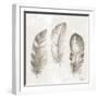 Three Modern Feathers I-Patricia Pinto-Framed Art Print