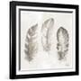 Three Modern Feathers I-Patricia Pinto-Framed Art Print