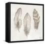 Three Modern Feathers II-Patricia Pinto-Framed Stretched Canvas