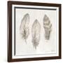 Three Modern Feathers II-Patricia Pinto-Framed Art Print