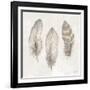 Three Modern Feathers II-Patricia Pinto-Framed Art Print