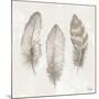 Three Modern Feathers II-Patricia Pinto-Mounted Art Print