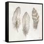 Three Modern Feathers II-Patricia Pinto-Framed Stretched Canvas