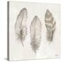 Three Modern Feathers II-Patricia Pinto-Stretched Canvas