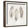 Three Modern Feathers II-Patricia Pinto-Framed Art Print