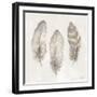 Three Modern Feathers II-Patricia Pinto-Framed Art Print