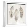 Three Modern Feathers II-Patricia Pinto-Framed Art Print